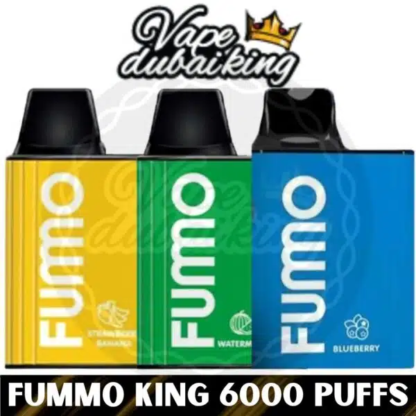 FUMMO KING 6000 PUFFS