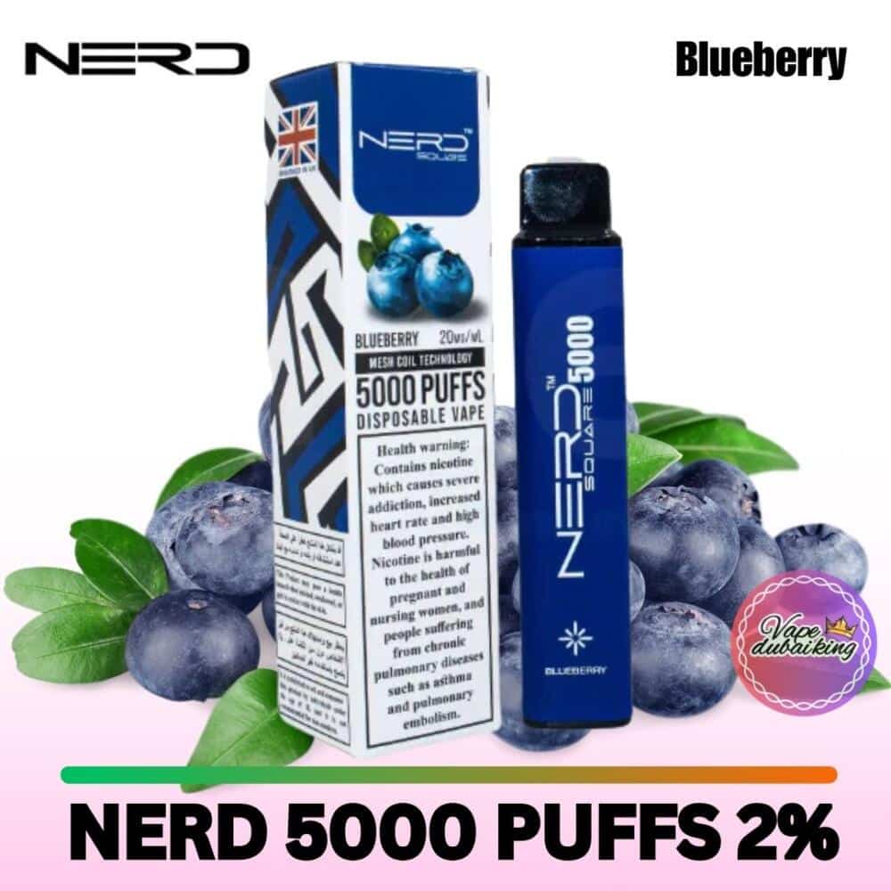 Nerd Square 5000 Puffs Blueberry