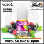 Vozol Saltnic E-juice Mixed Berries