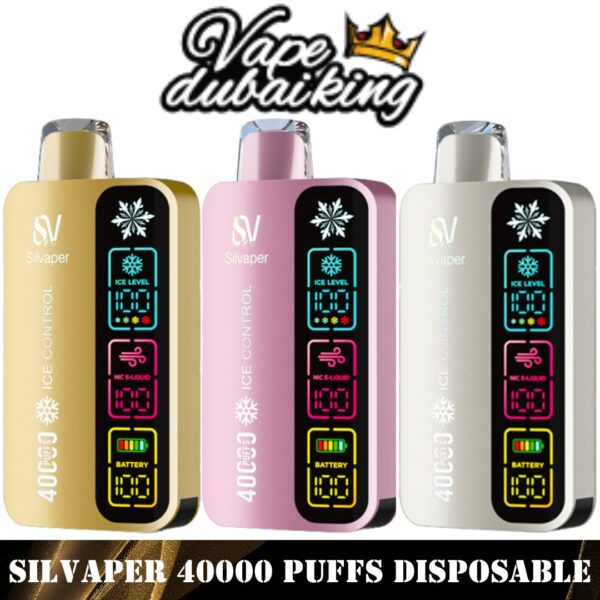 Silvaper 40000 Puffs Disposable Vape in Dubai