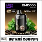 Lost Mary BM15000 Puffs Disposable Vape Miami Mint