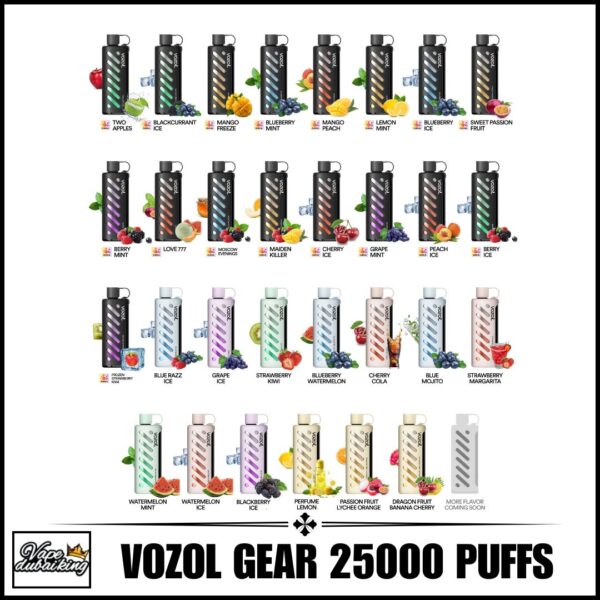 vozol gear shisha 25000 puffs