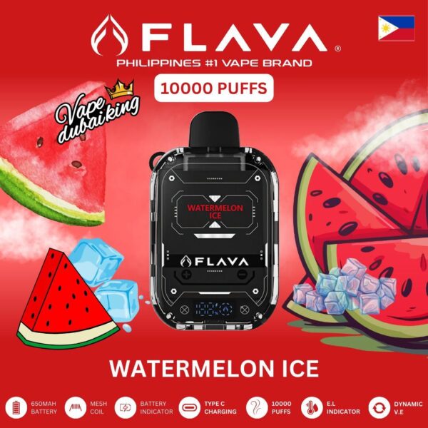Flava Nimmbox 10000 Puffs Watermelon Ice