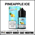 Nasty Brust Salt Nicotine Pineapple ice