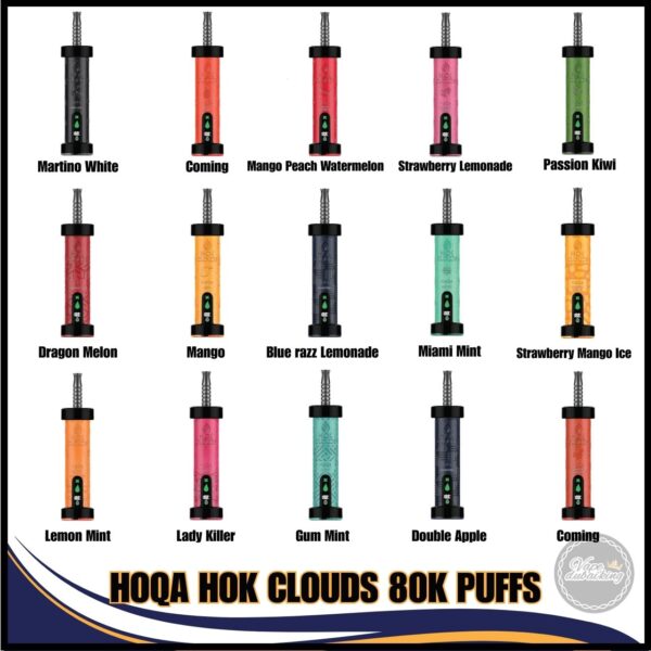 Hoqa 80K Puffs Hok Clouds all Flavors