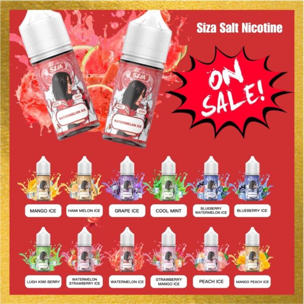 Siza Salt Nicotine flavors